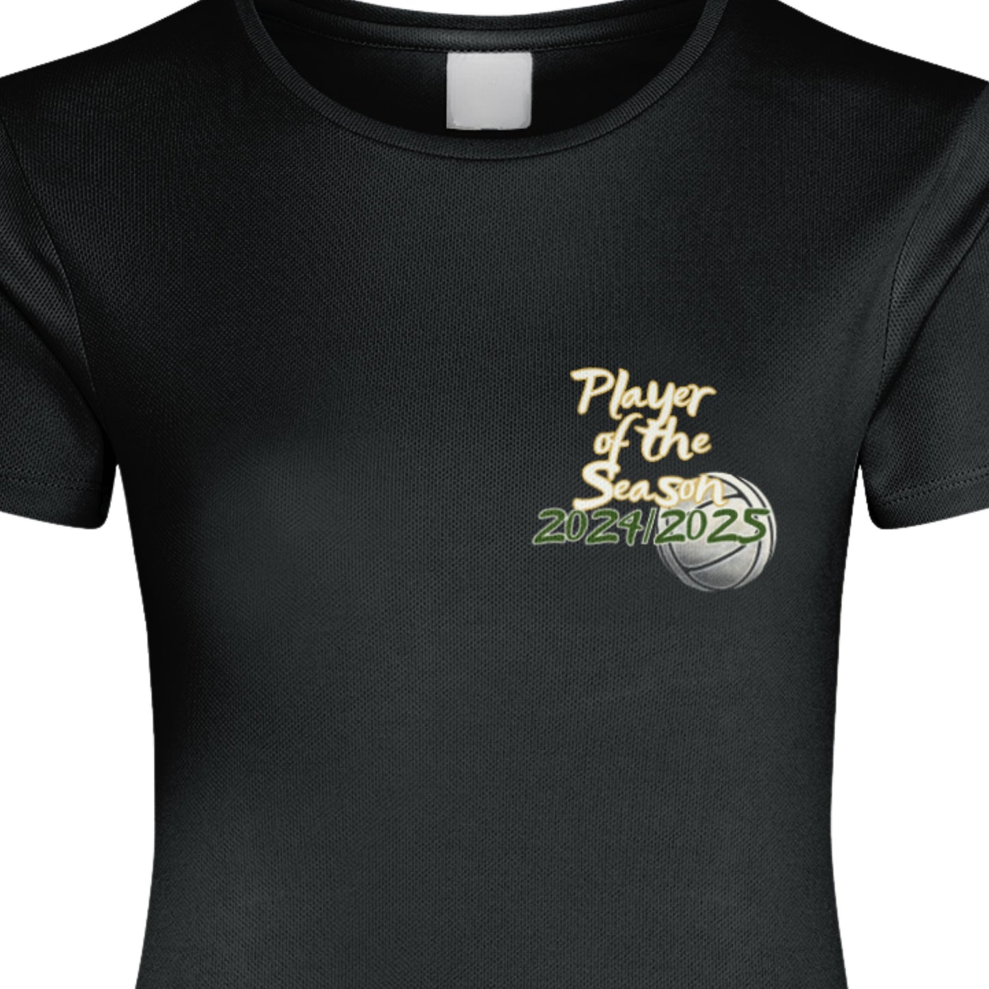 Netball Player of the Season Performance Top Award