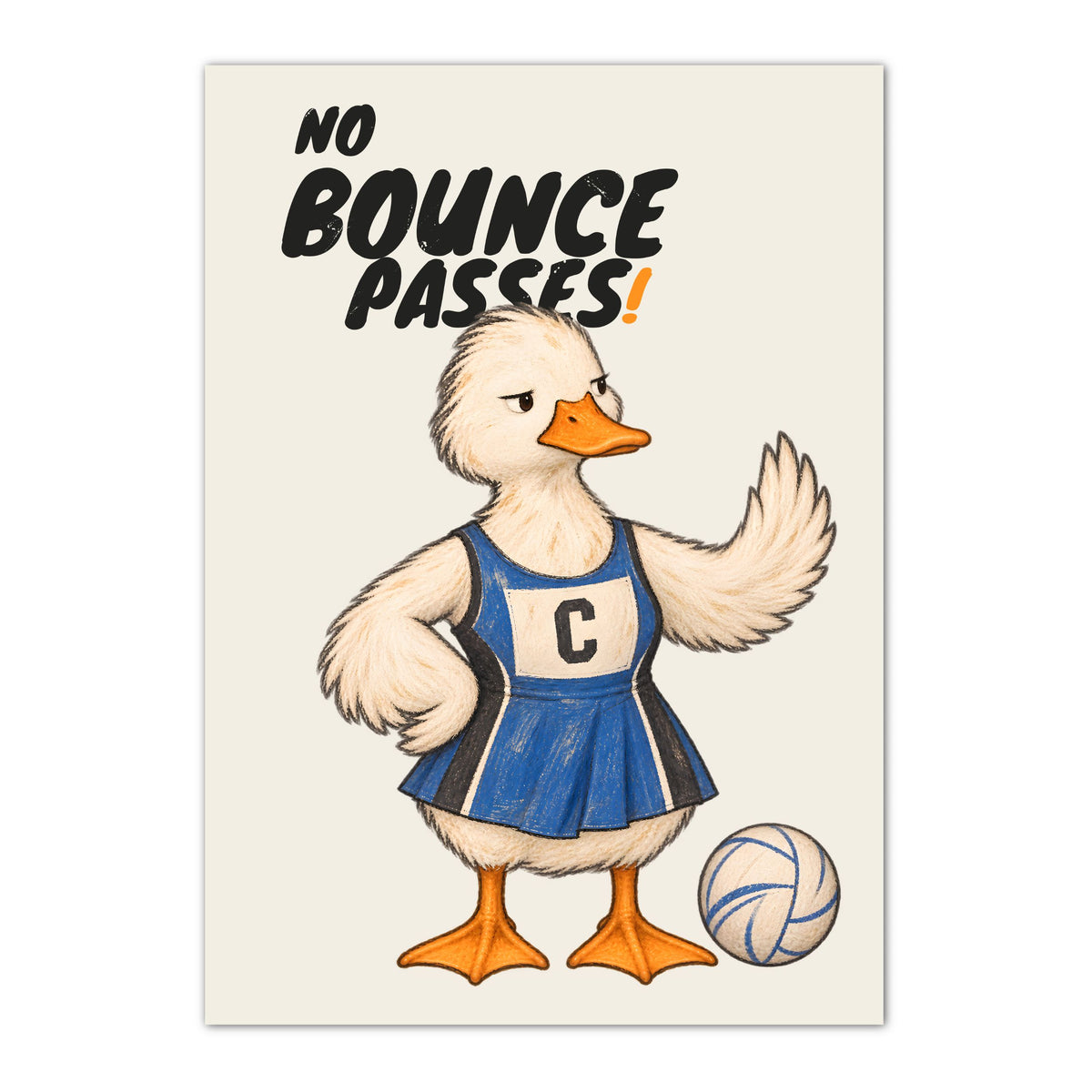 Bounce Passes netball wall art print with duck and NO BOUNCE PASSES wording